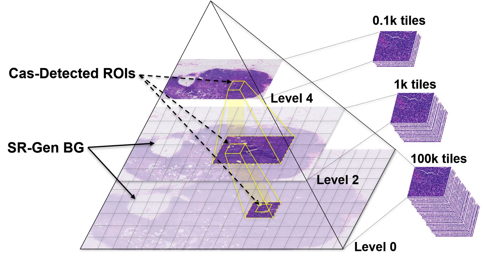 Publication thumbnail